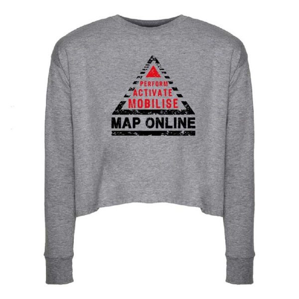 MAP cropped long sleeved t-shirt (grey) - Image 2