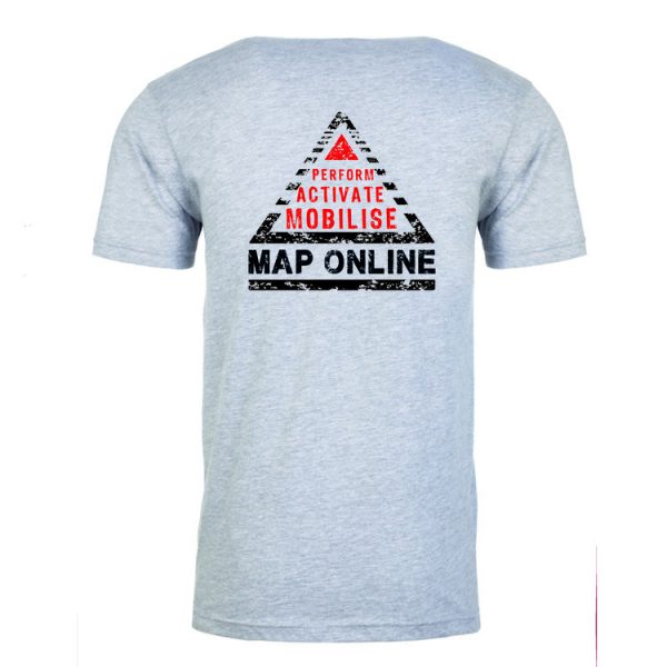 MAP t-shirt (grey) - Image 2